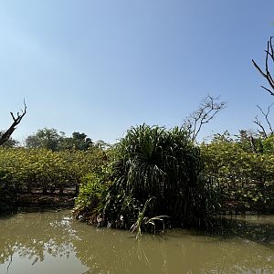 Proboscis Monkey + Bawean Deer Exhibit