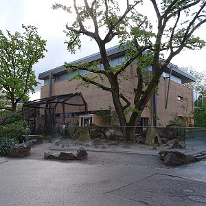 Giraffe house and meerkat enclosure