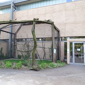 Giraffe house: aviary for grey parrot and crowned lapwing