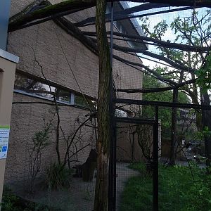 Giraffe house: aviary for grey parrot and crowned lapwing