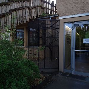 Giraffe house: aviary for village weavers