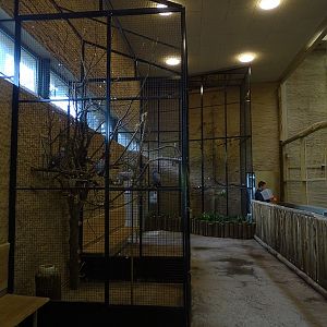 Giraffe house: indoor aviaries