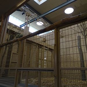 Giraffe House: Giraffe seperation cages