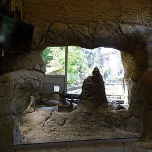 Giraffe House: Meerkat indoor enclosure