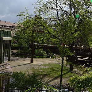 Giraffe outdoor enclosure