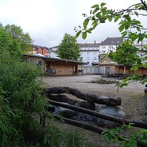 Grant's zebra enclosure