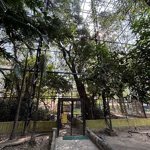 Massive Aviary - currently closed