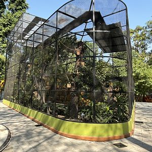 Pheasant + Fowl Aviary