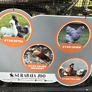 Pheasant + Fowl Aviary