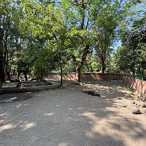 1 of 8 huge Komodo Dragon Exhibits