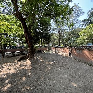 1 of 8 huge Komodo Dragon Exhibits