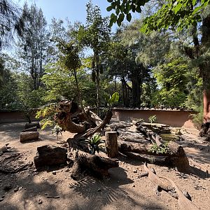 1 of 8 huge Komodo Dragon Exhibits