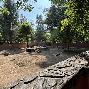 1 of 8 huge Komodo Dragon Exhibits