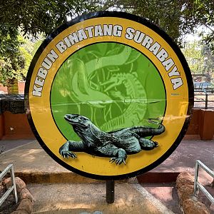 Komodo Dragon Complex Sign
