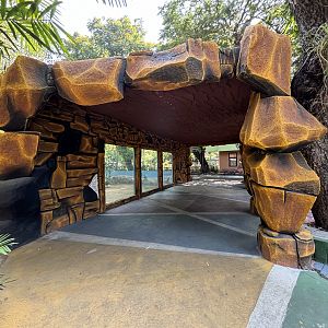 1 of 8 huge Komodo Dragon Exhibits