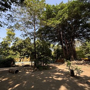 1 of 8 huge Komodo Dragon Exhibits