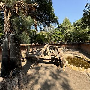 1 of 8 huge Komodo Dragon Exhibits