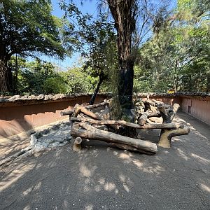 1 of 8 huge Komodo Dragon Exhibits