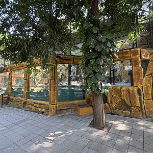 Little Black Cormorant Aviary