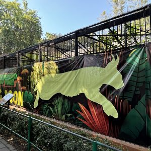 Future Exhibit - Caracal?