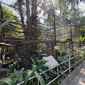 Binturong Exhibits #5 + #6