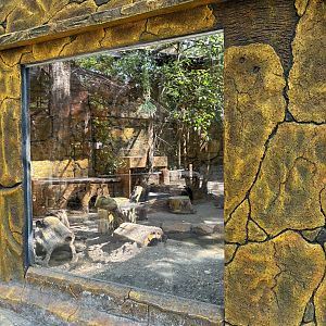 Javan Porcupine Exhibit #2