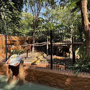 Capybara Exhibit