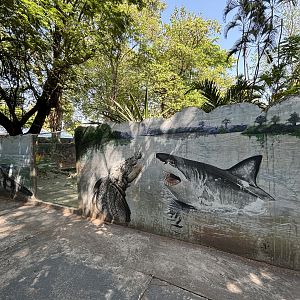 Croc v Shark Mural
