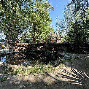 Saltwater Crocodile Exhibit #1