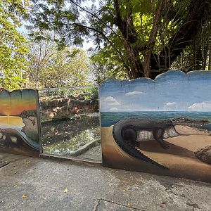 Saltwater Crocodile Exhibit #1