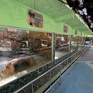 Row of Reptile Exhibits #1