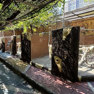 Row of Reptile Exhibits #2