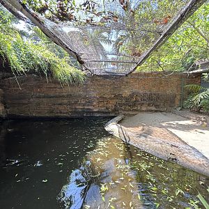 Green Sea Turtle Exhibit #1