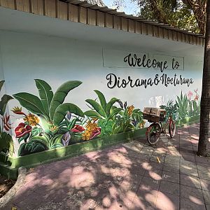 Diorama + Nocturama House