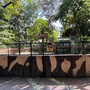 Saltwater Crocodile Exhibit #2