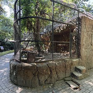 Reticulated Python Exhibit