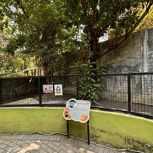 Siamese Crocodile Exhibit