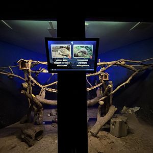 Pangolin/Hedgehog/Sugar Glider Exhibit