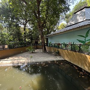 Saltwater Crocodile Exhibit #3