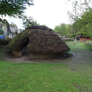 Wallaby enclosure