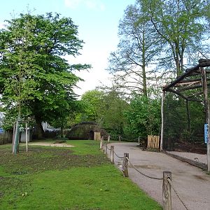 Wallaby enclosure and Australian aviary