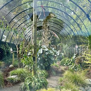 South American Aviary (Inside View)