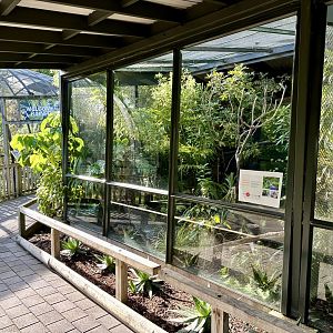Himalayan monal exhibit (new)