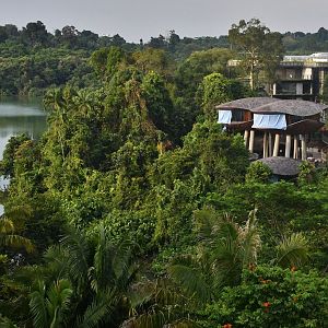 Mandai Rainforest Resort by Banyan Tree (opening 1H 2025)