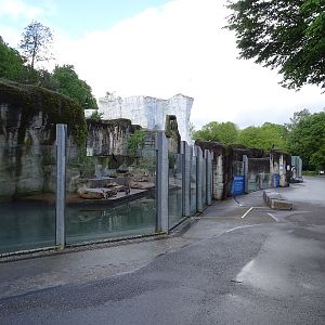 Humboldt penguin enclosure
