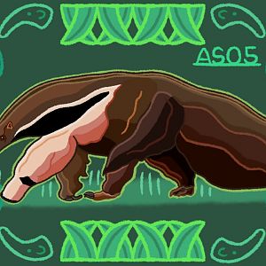Giant Anteater