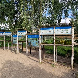 Native amphibians display