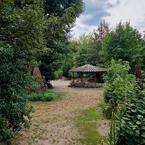 View of Southern white rhino enclosure