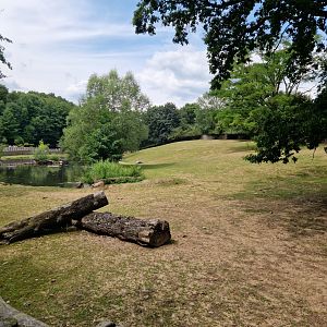 Common hippo enclosure