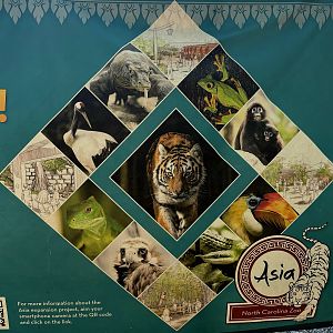 Signage for new Asia expansion (species in description/comments)